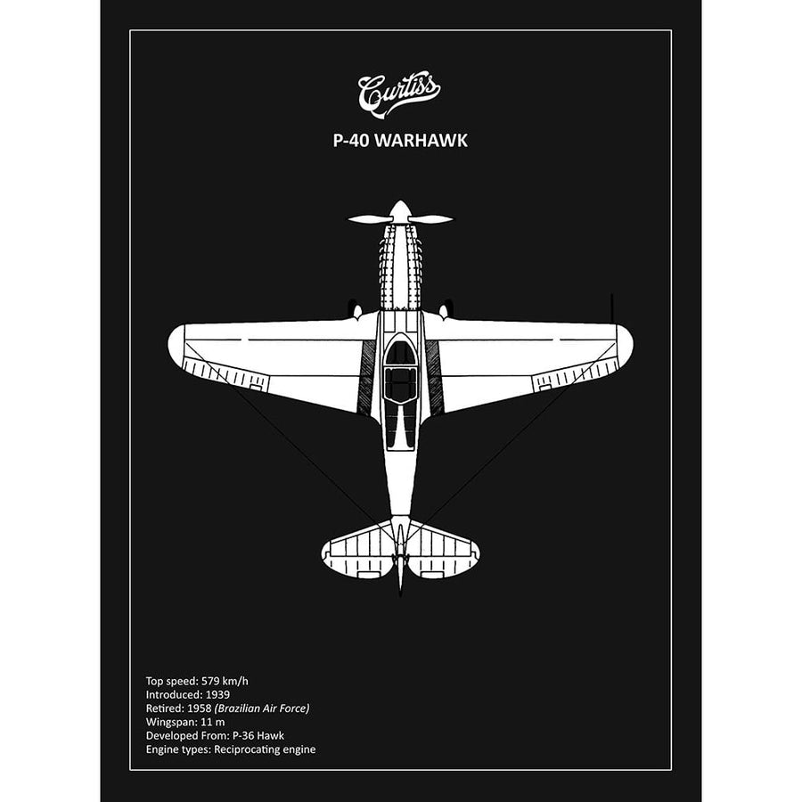 BP P-40 Warhawk Black Poster Print by Mark Rogan-VARPDXRGN114944 Image 1