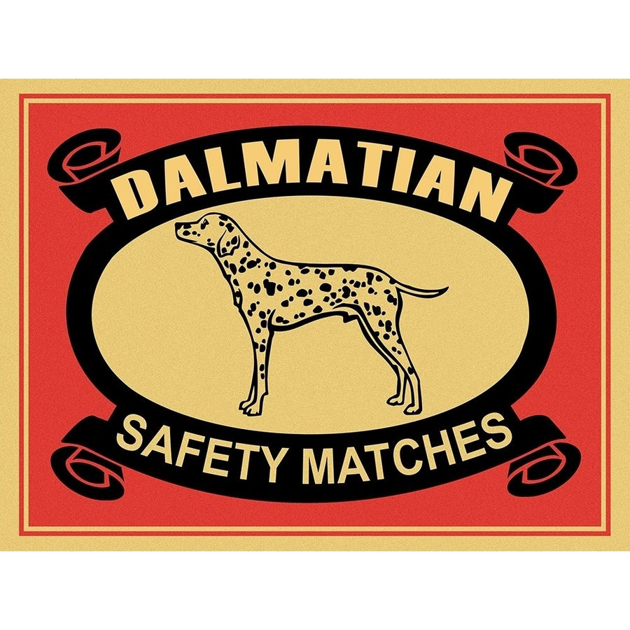 Dalmatian Safety Matches by Mark Rogan-VARPDXRGN117892 Image 1