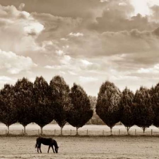 Grazing Poster Print by Heather Ross-VARPDXRHP116 Image 2