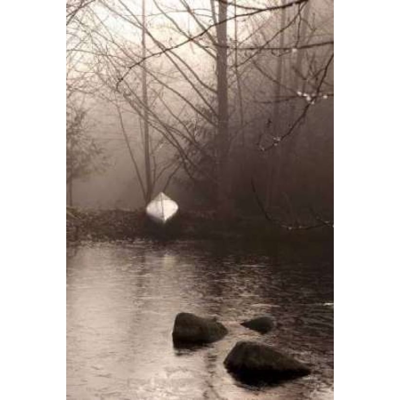 Silvered Morning Pond Poster Print by Heather Ross-VARPDXRHP112 Image 1