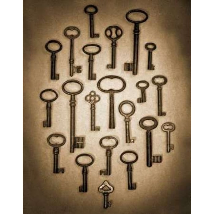 Key Elements II Poster Print by Heather Ross-VARPDXRHP120 Image 1