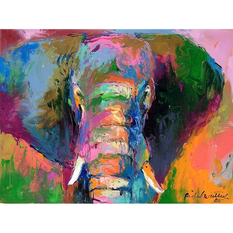 Elephant 2 Poster Print - Richard Wallich-VARPDXRICWAL72751 Image 1