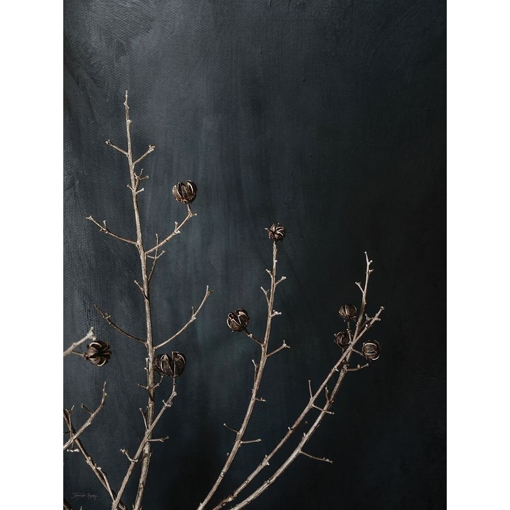 Branches in Noir I Poster Print - Jennifer Rigsby-VARPDXRIG128 Image 1