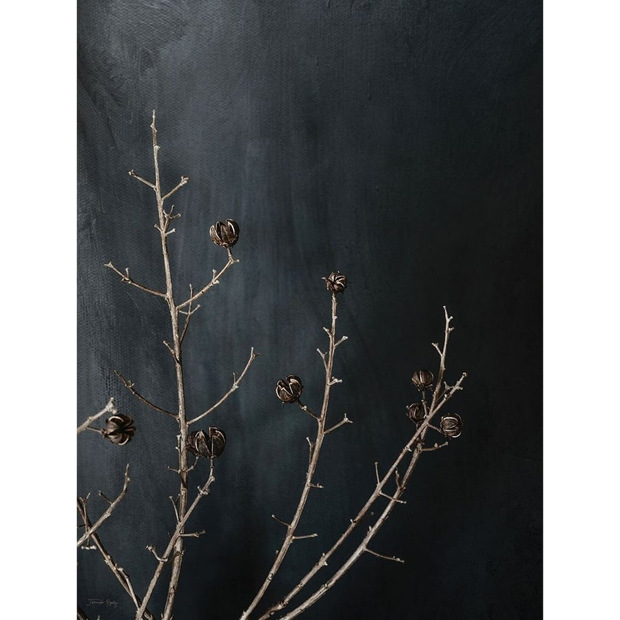 Branches in Noir I Poster Print - Jennifer Rigsby-VARPDXRIG128 Image 1