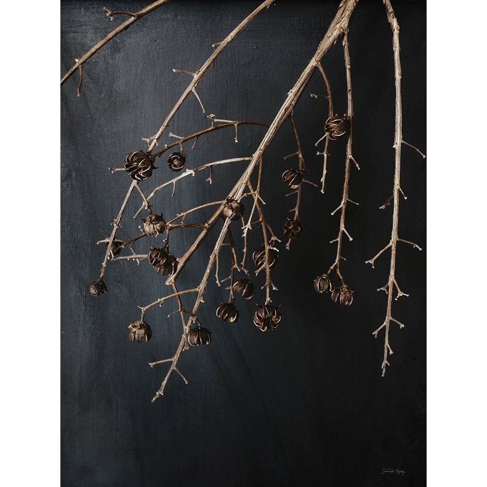 Branches in Noir II Poster Print - Jennifer Rigsby-VARPDXRIG129 Image 1