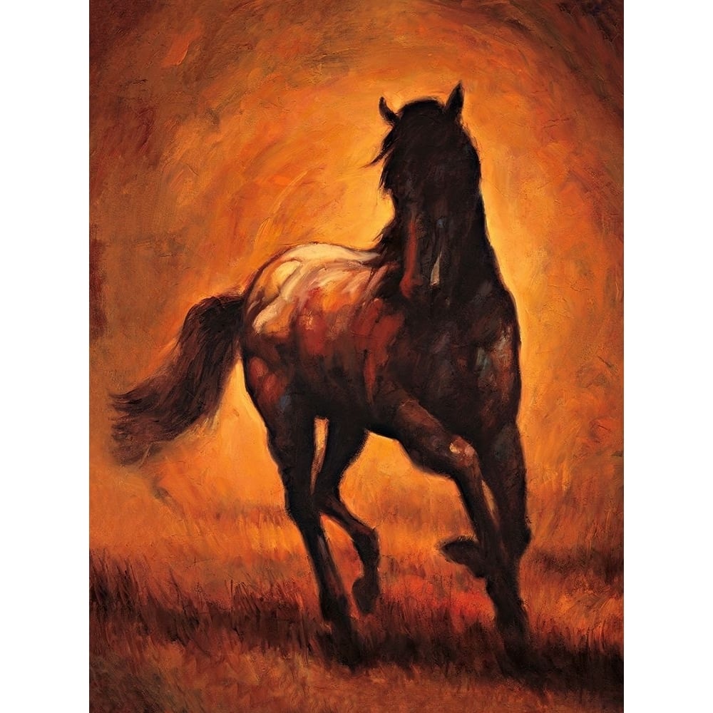 Stallion I Poster Print - Ricardo Vargas-VARPDXRIV5780 Image 1