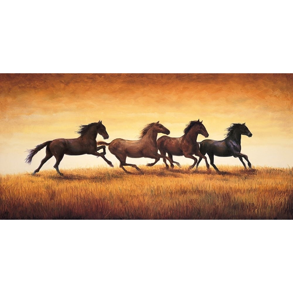 Stallions at Sunset Poster Print - Ricardo Vargas-VARPDXRIV5941 Image 1