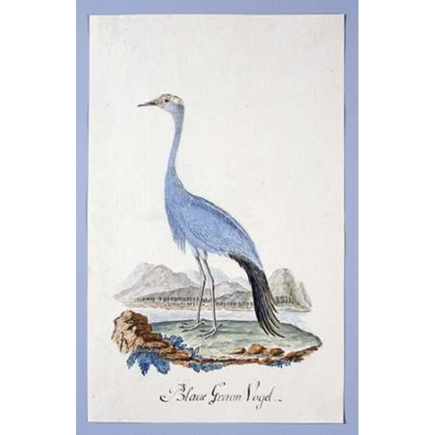 Blue Bird Poster Print by Robert J. Gordon-VARPDXRJG06 Image 1