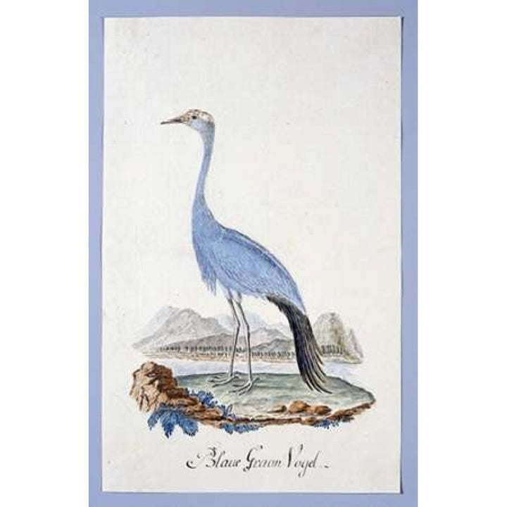 Blue Bird Poster Print by Robert J. Gordon-VARPDXRJG06 Image 2