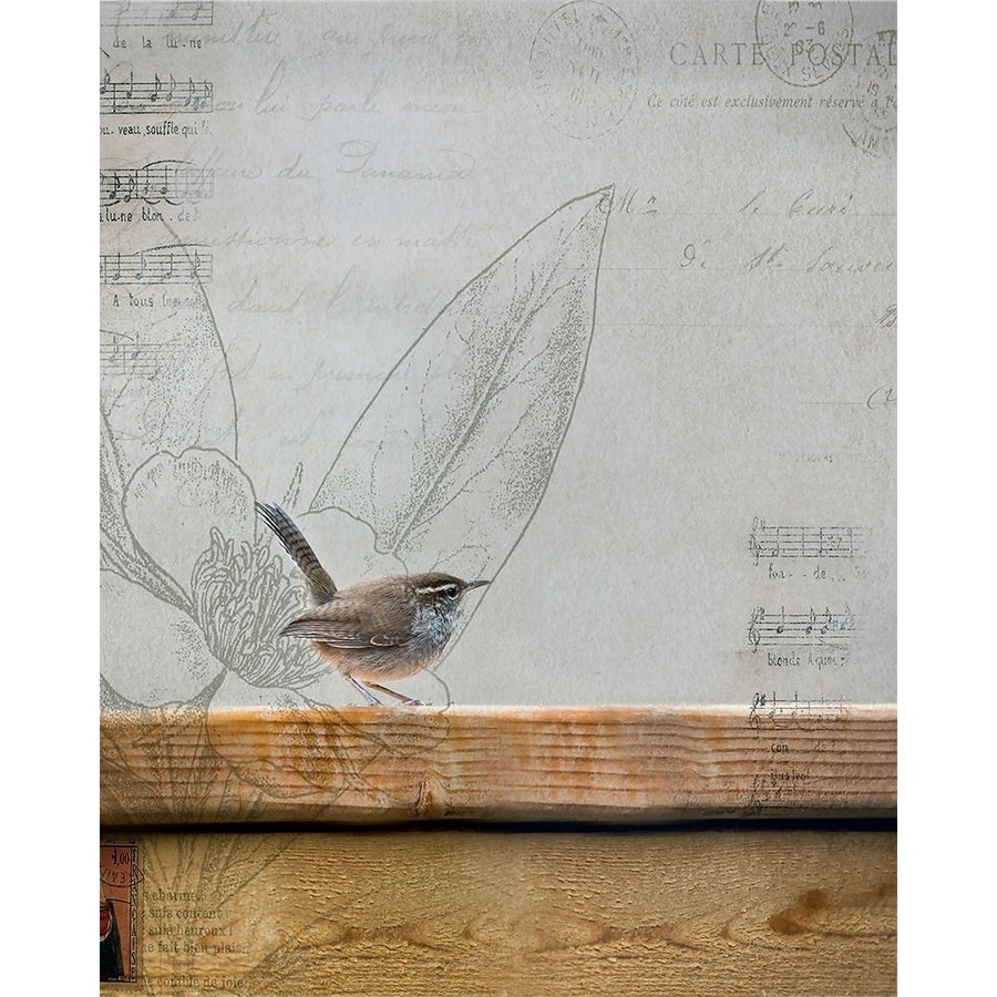 Wren I by Rebecca Cozart-VARPDXRL007A Image 1