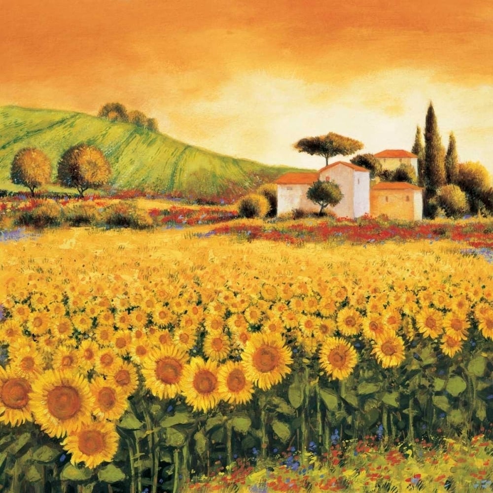 Valley of Sunflowers Poster Print by Richard Leblanc-VARPDXRL4698 Image 1