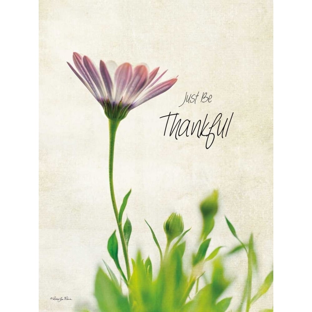 Just be Thankful Poster Print by Robin-Lee Vieira-VARPDXRLV431 Image 1