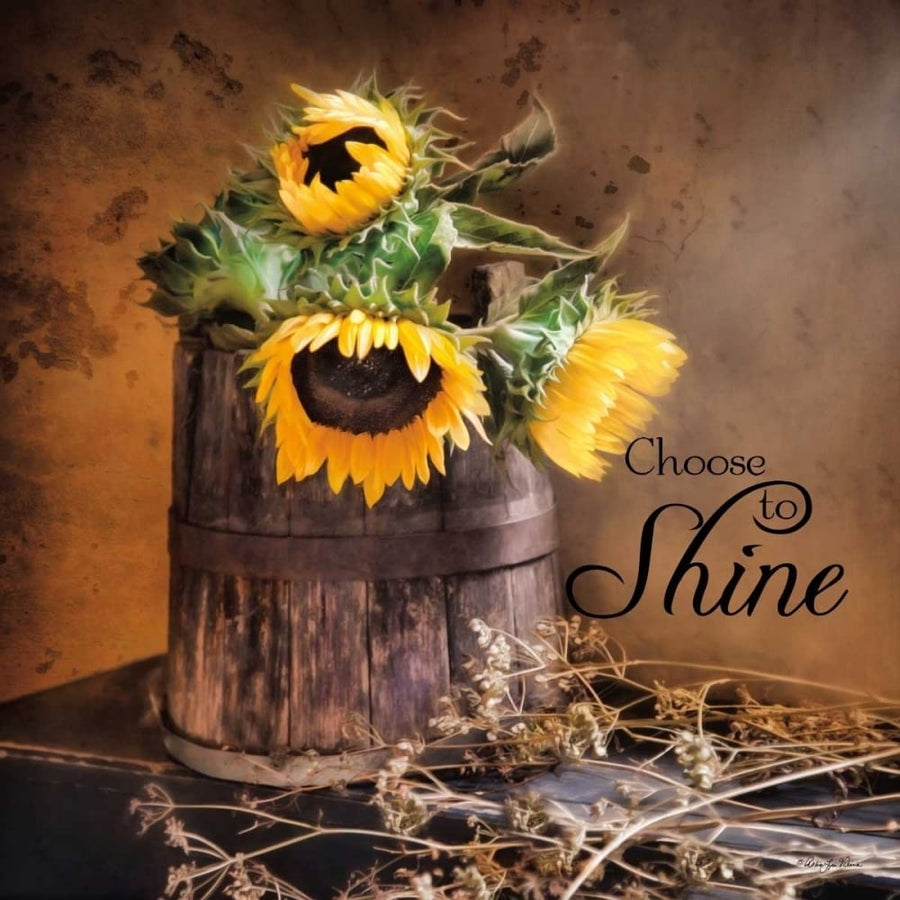 Choose to Shine Poster Print by Robin-Lee Vieira-VARPDXRLV530 Image 1