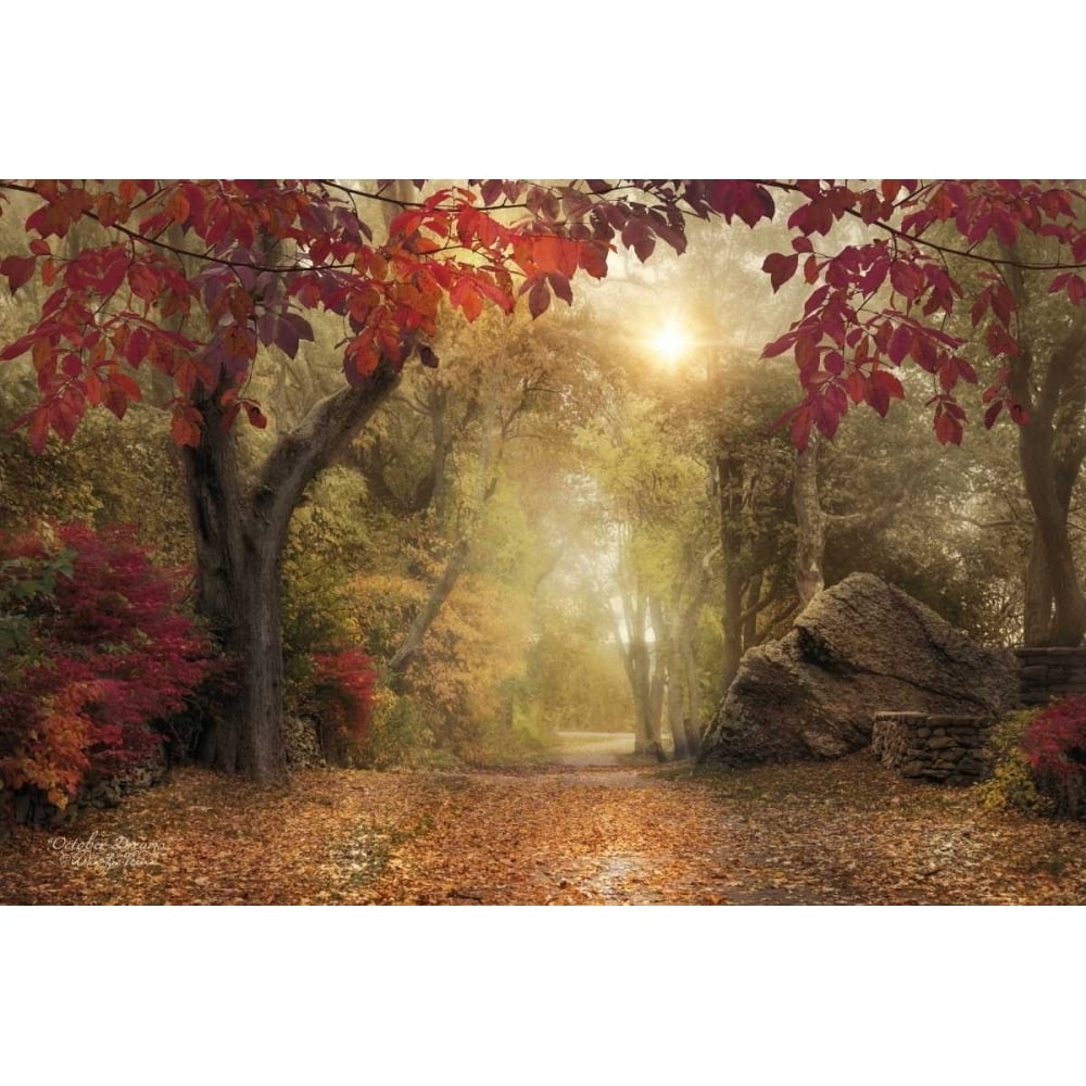 October Dreams Poster Print by Robin-Lee Vieira-VARPDXRLV570 Image 1