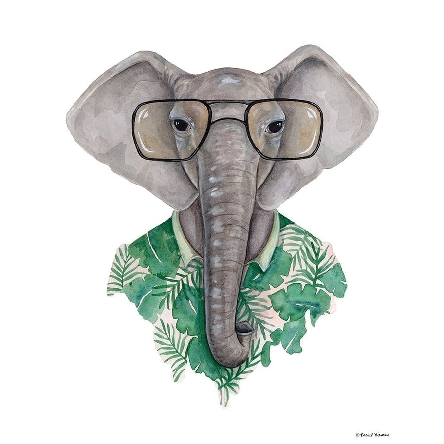 Elephant in Eye Glasses Poster Print by Rachel Nieman-VARPDXRN127 Image 1