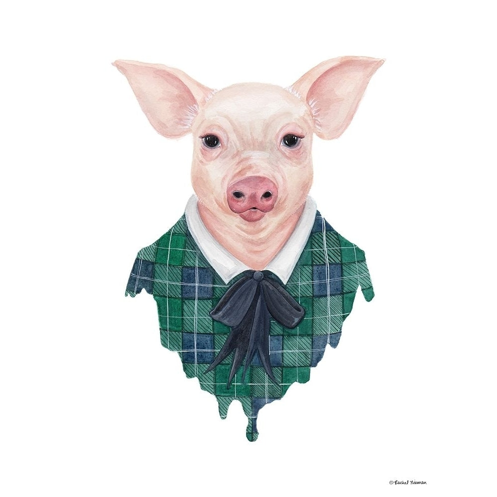 Pig in Plaid Poster Print by Rachel Nieman-VARPDXRN138 Image 1