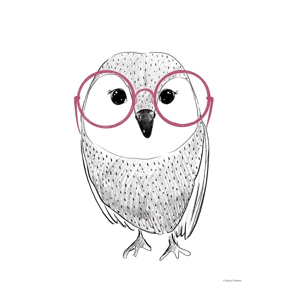 Owl in Pink Glasses by Rachel Nieman-VARPDXRN333 Image 1