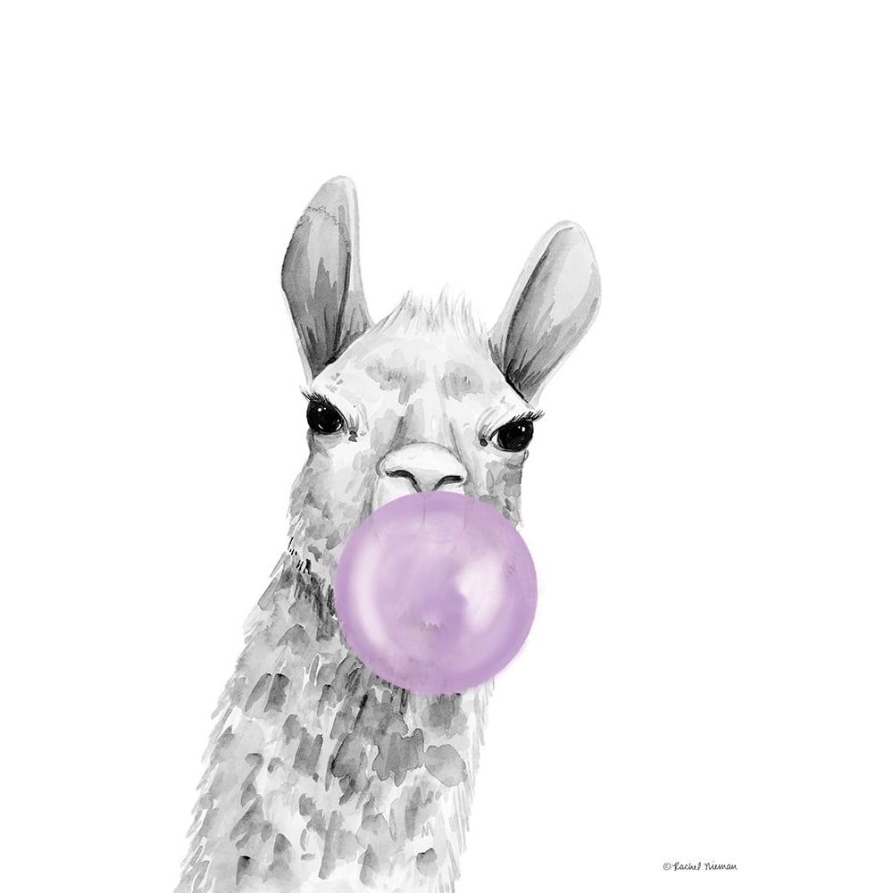 Bubblegum Alpaca by Rachel Nieman-VARPDXRN361 Image 1