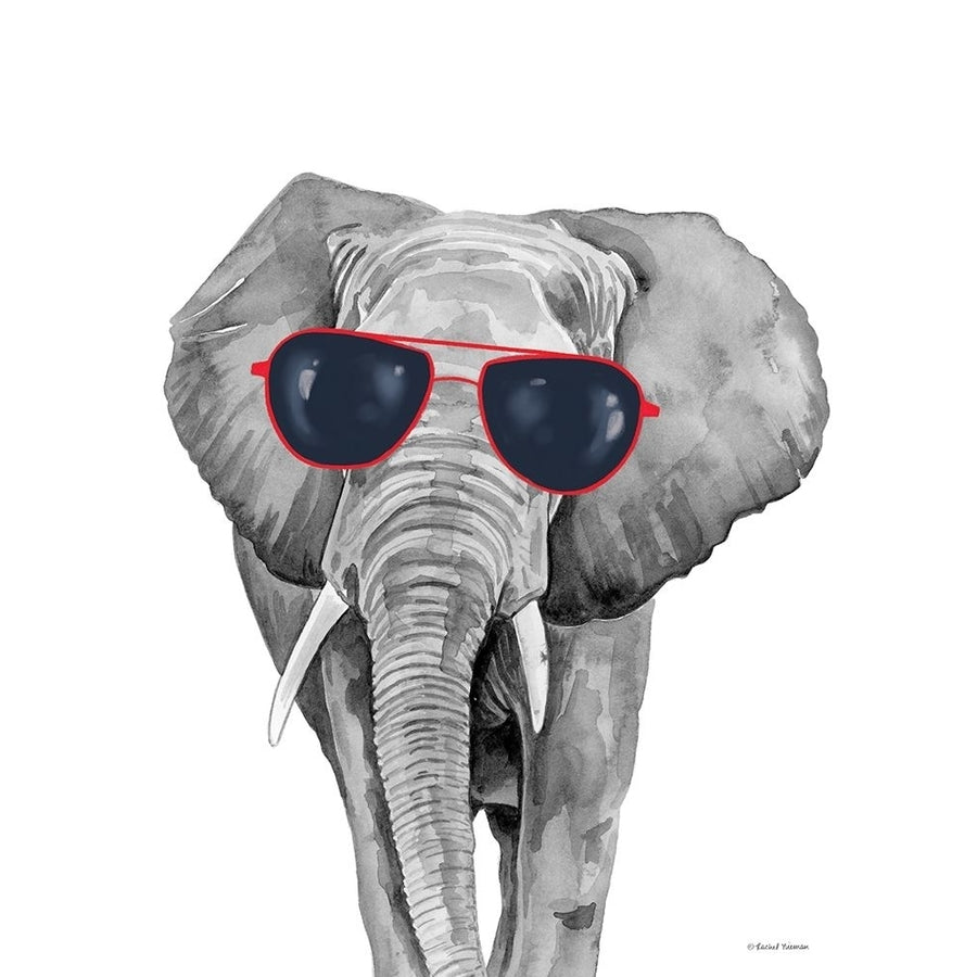 Looking Cool Elephant by Rachel Nieman-VARPDXRN359 Image 1