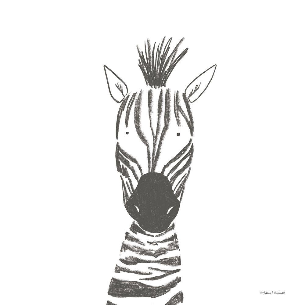 Zebra Line Drawing by Rachel Nieman-VARPDXRN428 Image 1