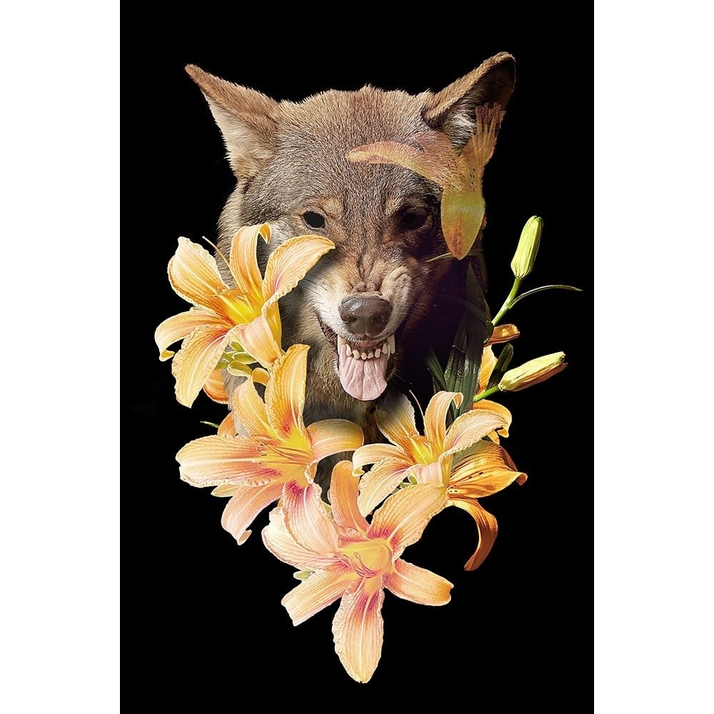 Wolfish Flowers Poster Print - Robert Farkas-VARPDXROBFAR231438 Image 1