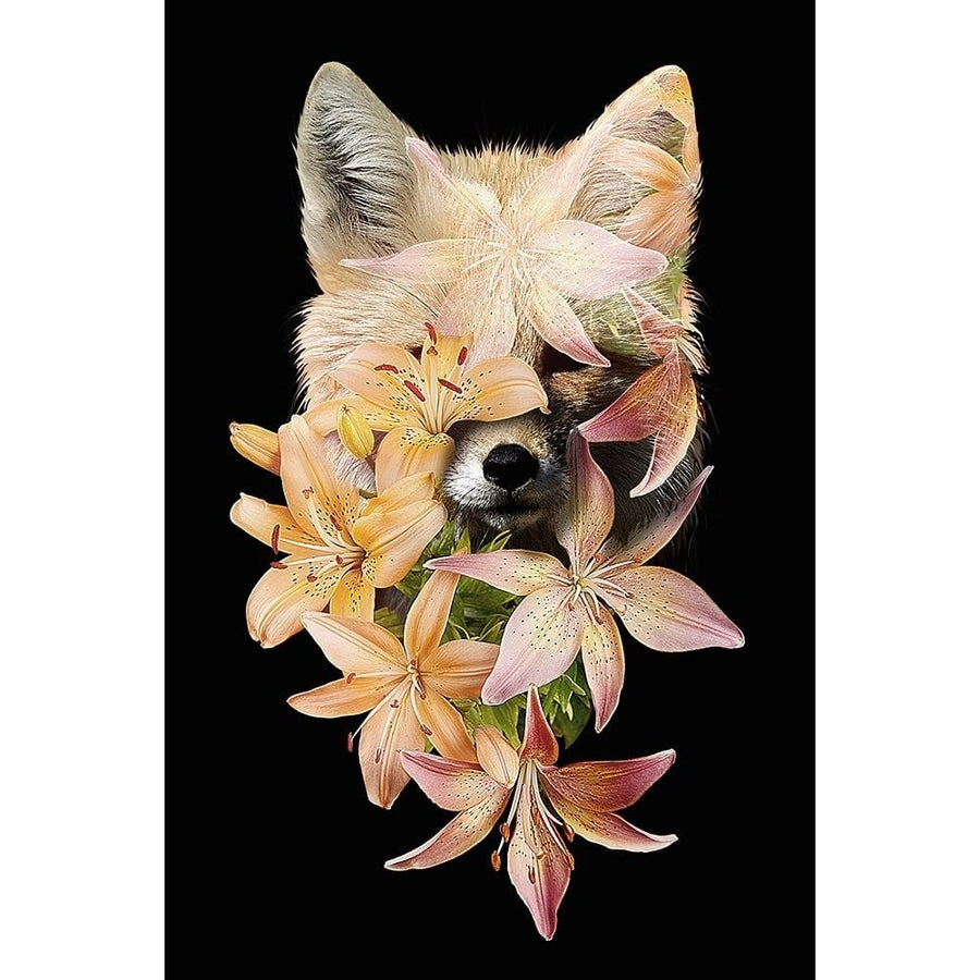 Foxy Flowers Poster Print - Robert Farkas-VARPDXROBFAR231265 Image 1