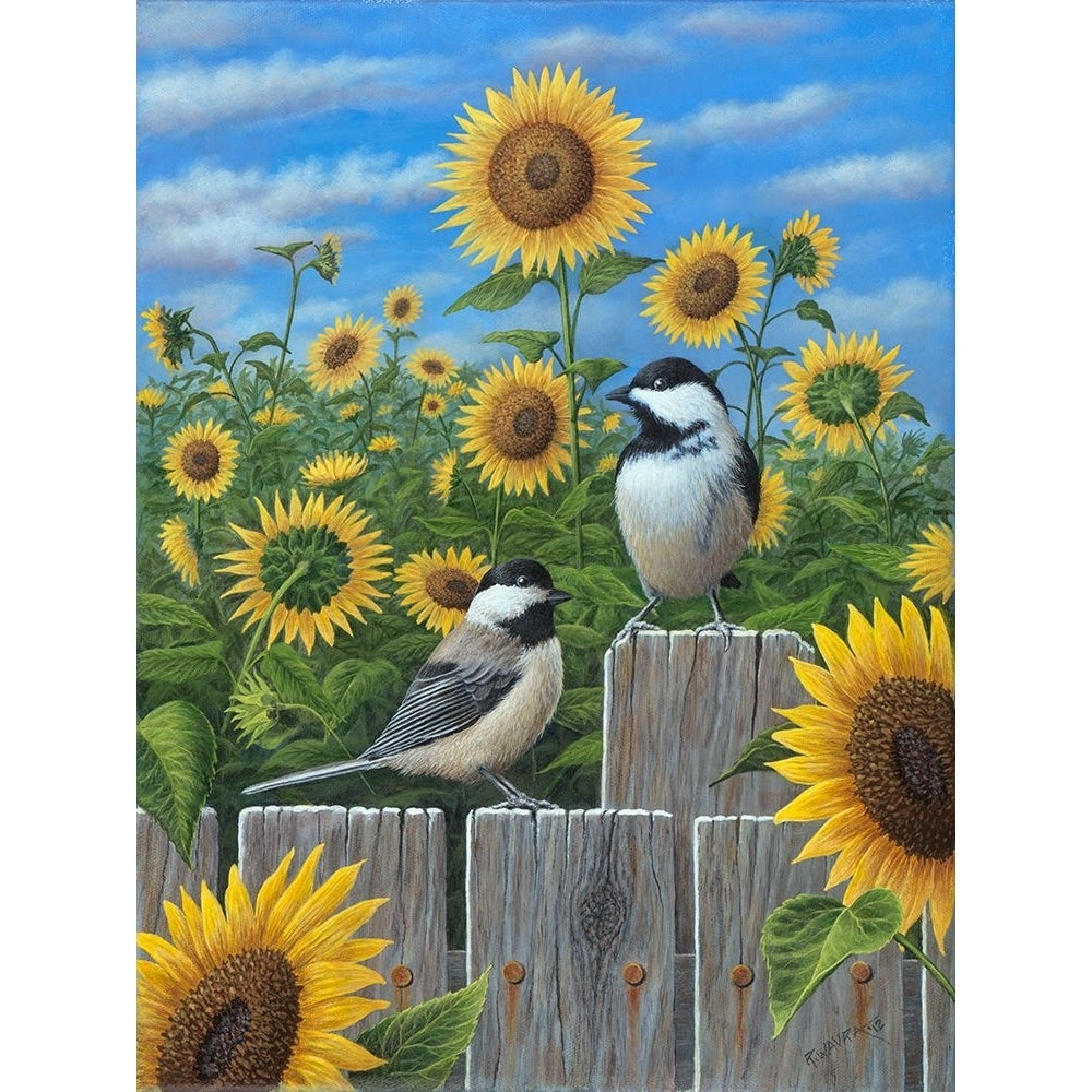 Chickadees And Sunflowers Poster Print - Robert Wavra-VARPDXROBWAV164137 Image 1