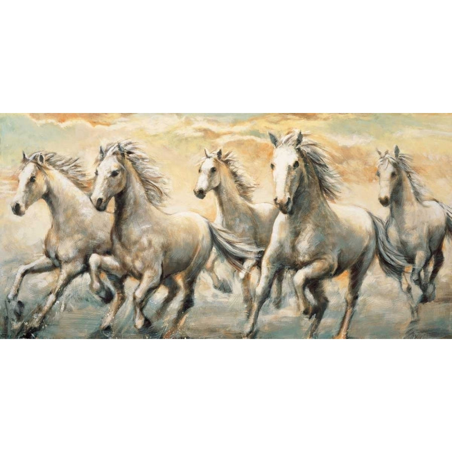 Wild Horses Poster Print by Ralph Steele-VARPDXRS5086 Image 1