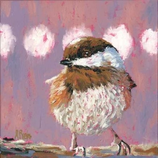 Hellow Chickadee Poster Print by Molly Reeves-VARPDXRVS104 Image 2