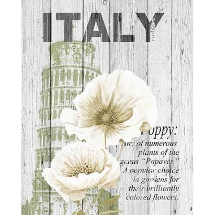 Italy Poppies Poster Print by Alicia Soave-VARPDXS1327D Image 1