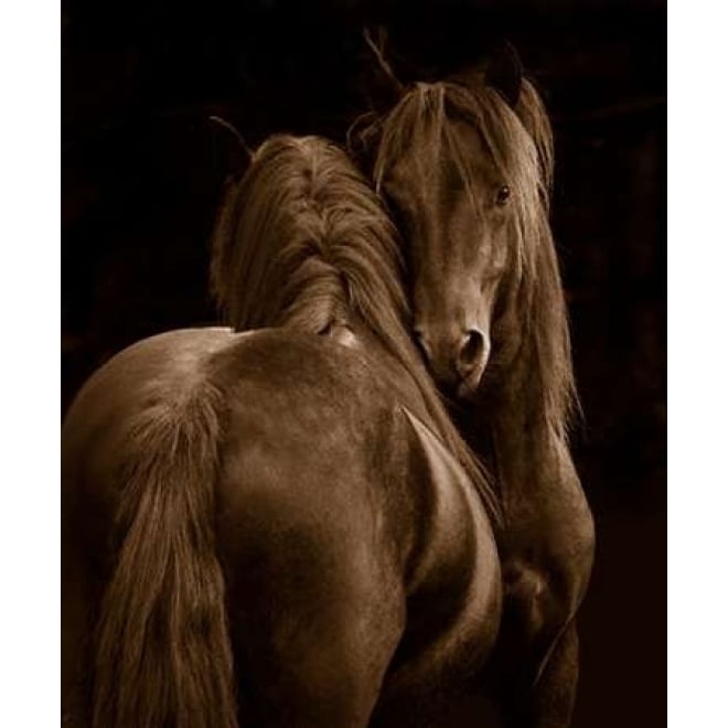 Tenderness I Poster Print by Tony Stromberg-VARPDXS1448D Image 2