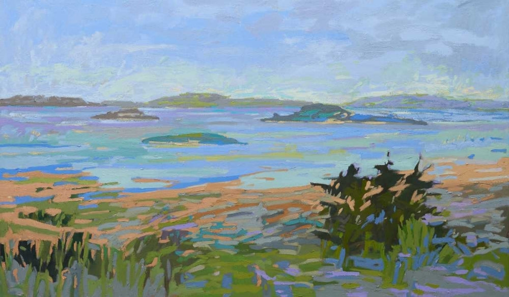 Islands Off the Mainland Poster Print by Jane Schmidt-VARPDXS1582D Image 1