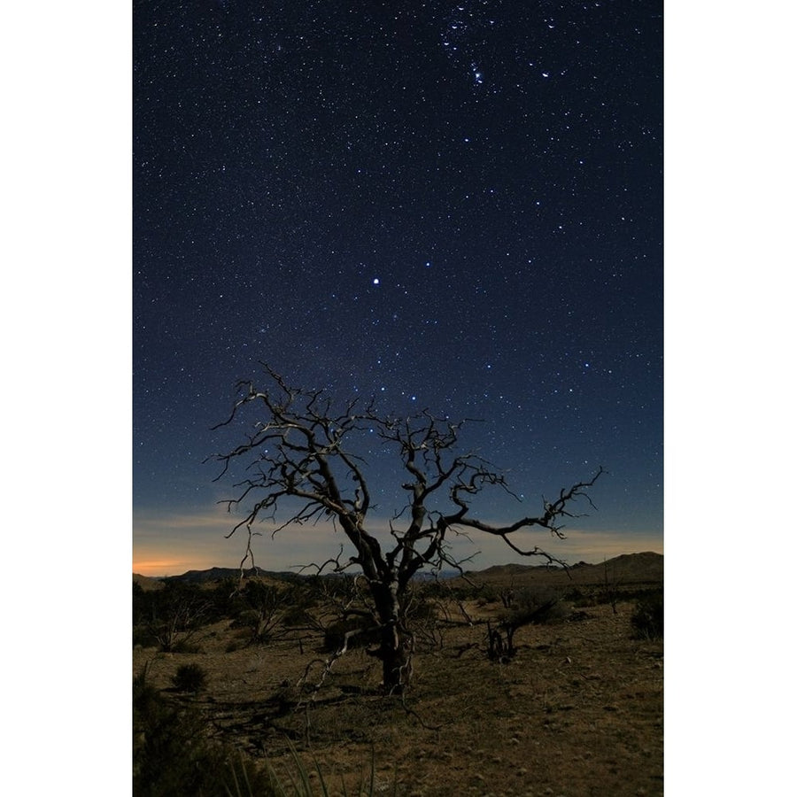 Mohave at Night No 1 Poster Print by Shawn/Corinne Severn-VARPDXS1880D Image 1