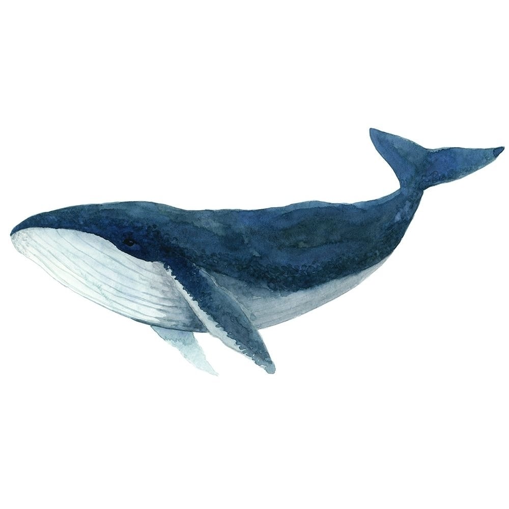 Humpback Whale - Blue by Jeannine Saylor-VARPDXS1944D Image 1