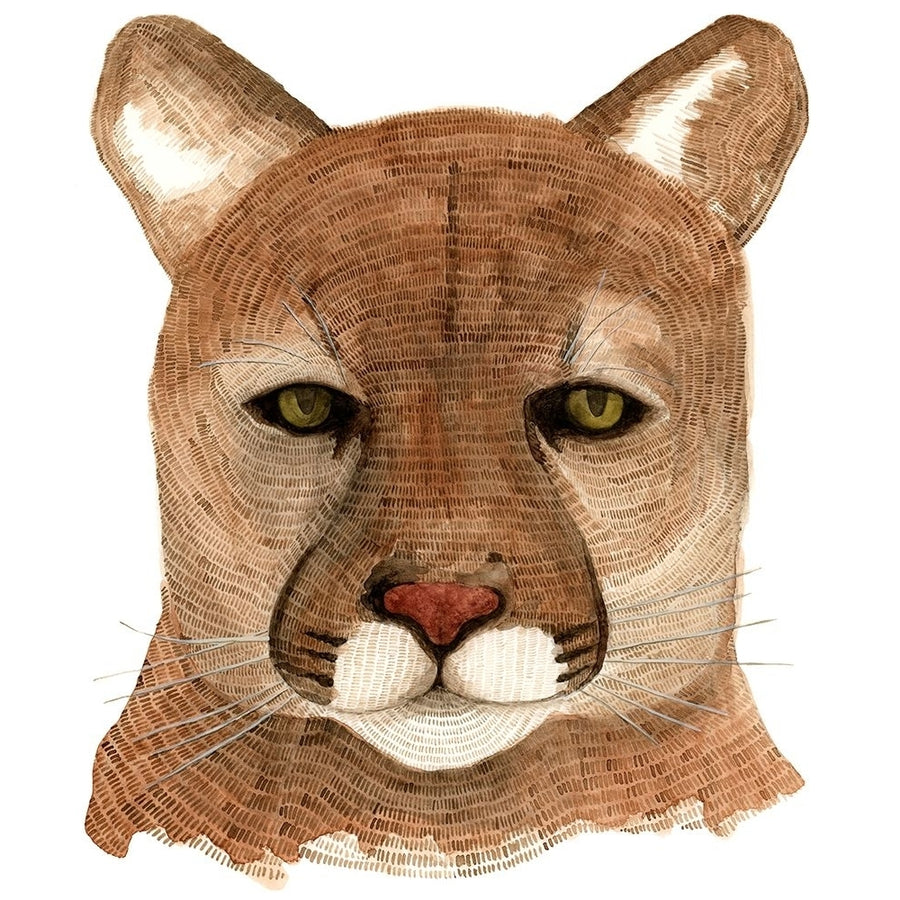 Cougar by Jeannine Saylor-VARPDXS1942D Image 1