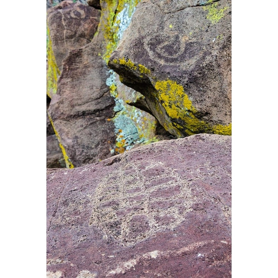 MexicoBaja California SurSierra de San Francisco Petroglyphs at remote springLa Higuerita Poster Print Fredrik Image 1