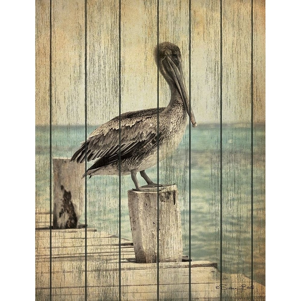 Vintage Pelican I Poster Print by Susan Ball-VARPDXSB684 Image 1