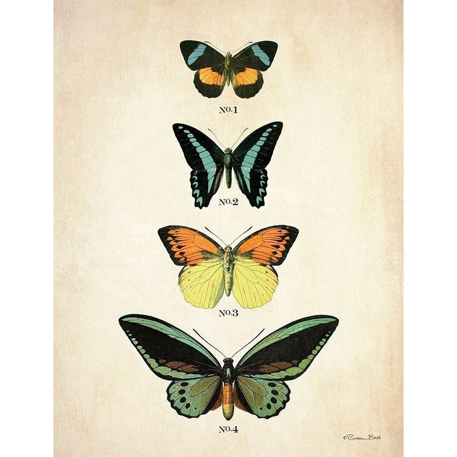 Butterflies 2 by Susan Ball-VARPDXSB888 Image 1