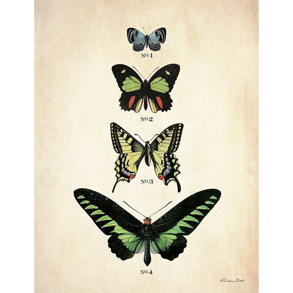 Butterflies 1 by Susan Ball-VARPDXSB887 Image 1