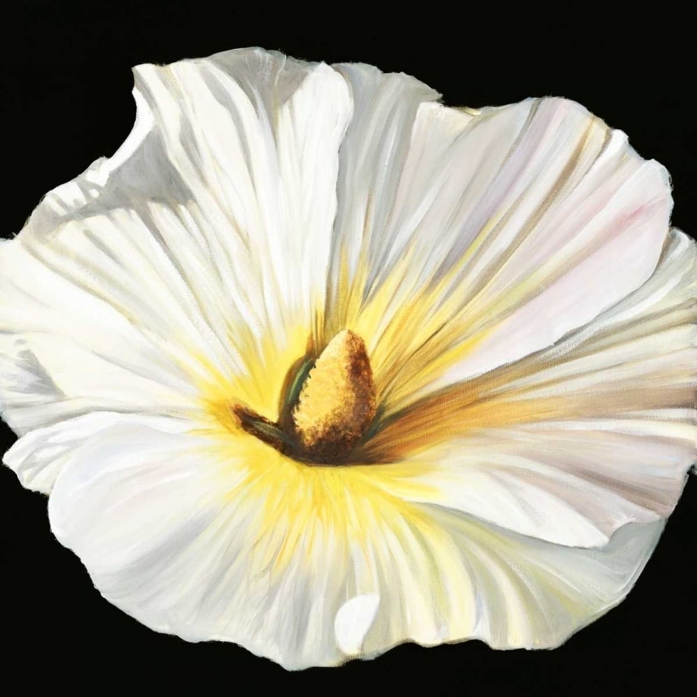 White Bloom II Poster Print by Sandra Lafrate-VARPDXSD006A Image 1