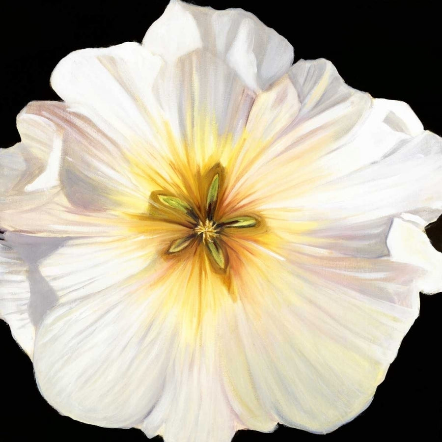 White Bloom I Poster Print by Sandra Lafrate-VARPDXSD005A Image 1