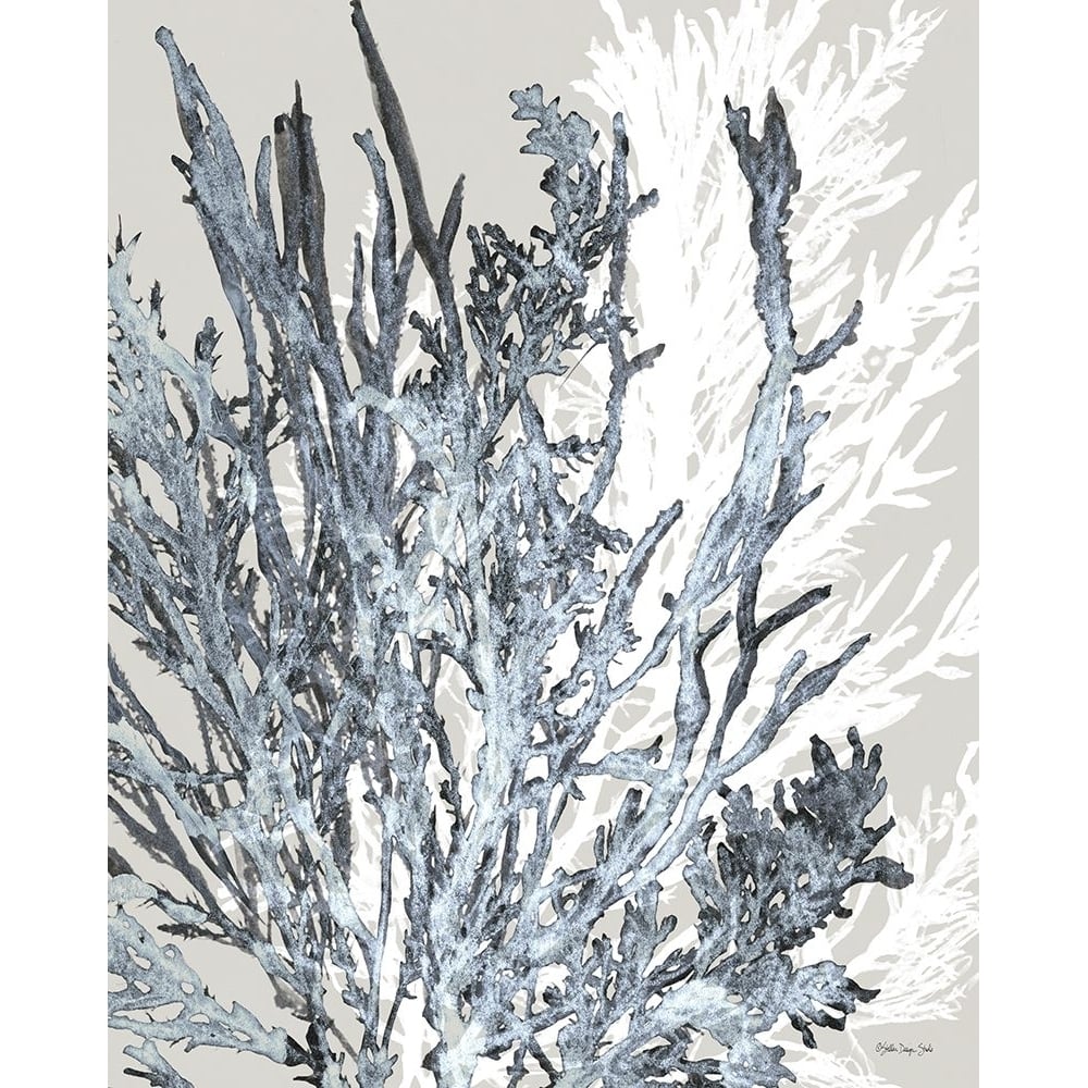 Transparent Coral 2 Poster Print - Stellar Design Studio-VARPDXSDS1048 Image 1