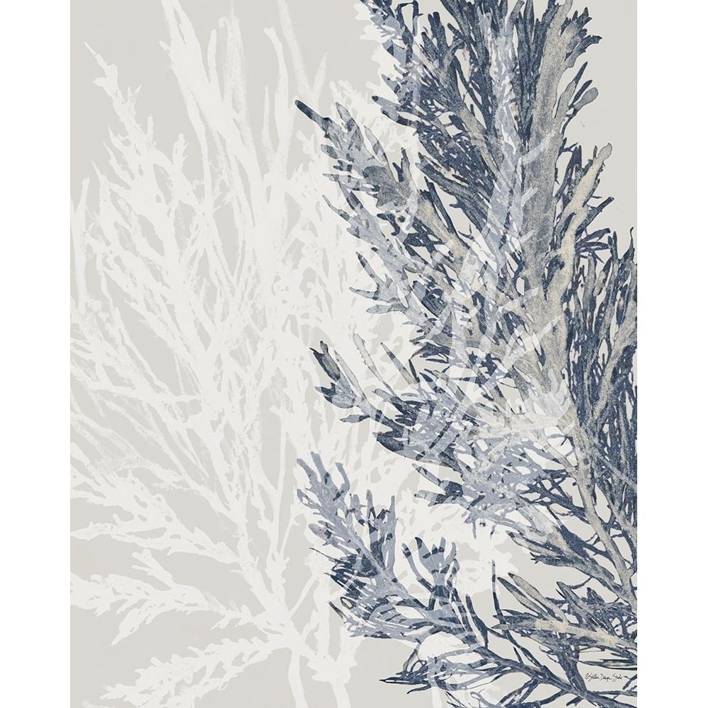 Transparent Coral 1 Poster Print - Stellar Design Studio-VARPDXSDS1047 Image 1