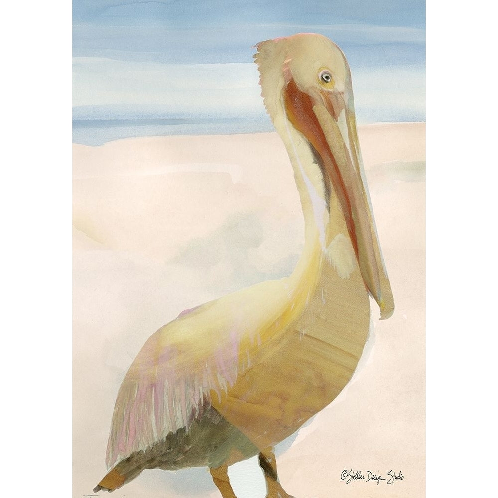 Pelican 1 Poster Print by Stellar Design Studio Stellar Design Studio-VARPDXSDS125 Image 1