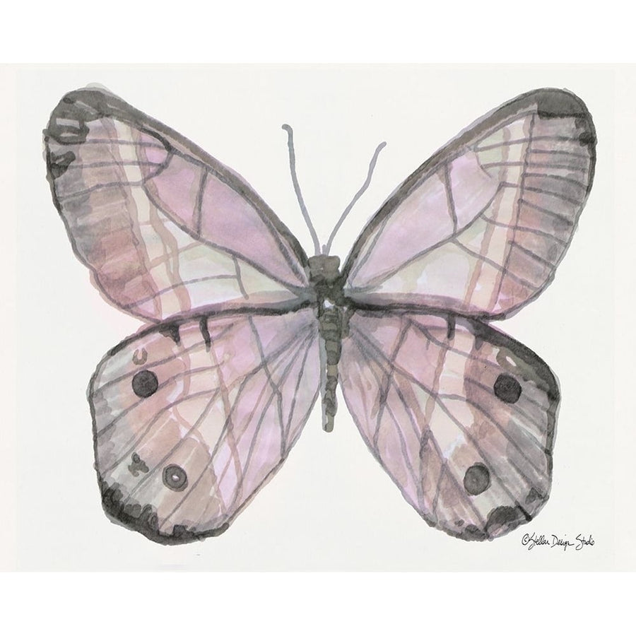 Butterfly 5 Poster Print by Stellar Design Studio Stellar Design Studio-VARPDXSDS163 Image 1