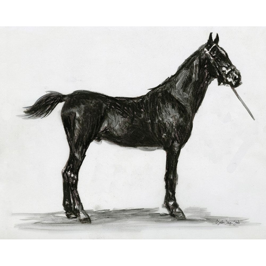 Horse Study 3 Poster Print by Stellar Design Studio Stellar Design Studio-VARPDXSDS132 Image 1