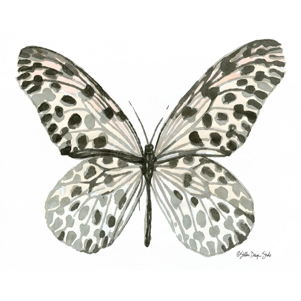 Butterfly 3 Poster Print by Stellar Design Studio Stellar Design Studio-VARPDXSDS161 Image 1