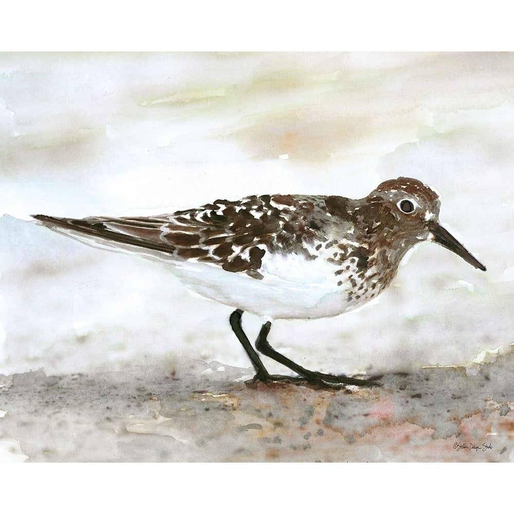 Sandpiper 1 Poster Print by Stellar Design Studio Stellar Design Studio-VARPDXSDS295 Image 1