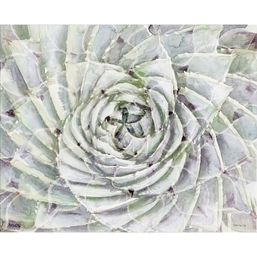 Succulent Macro Poster Print by Stellar Designs Studio Stellar Designs Studio-VARPDXSDS550 Image 1