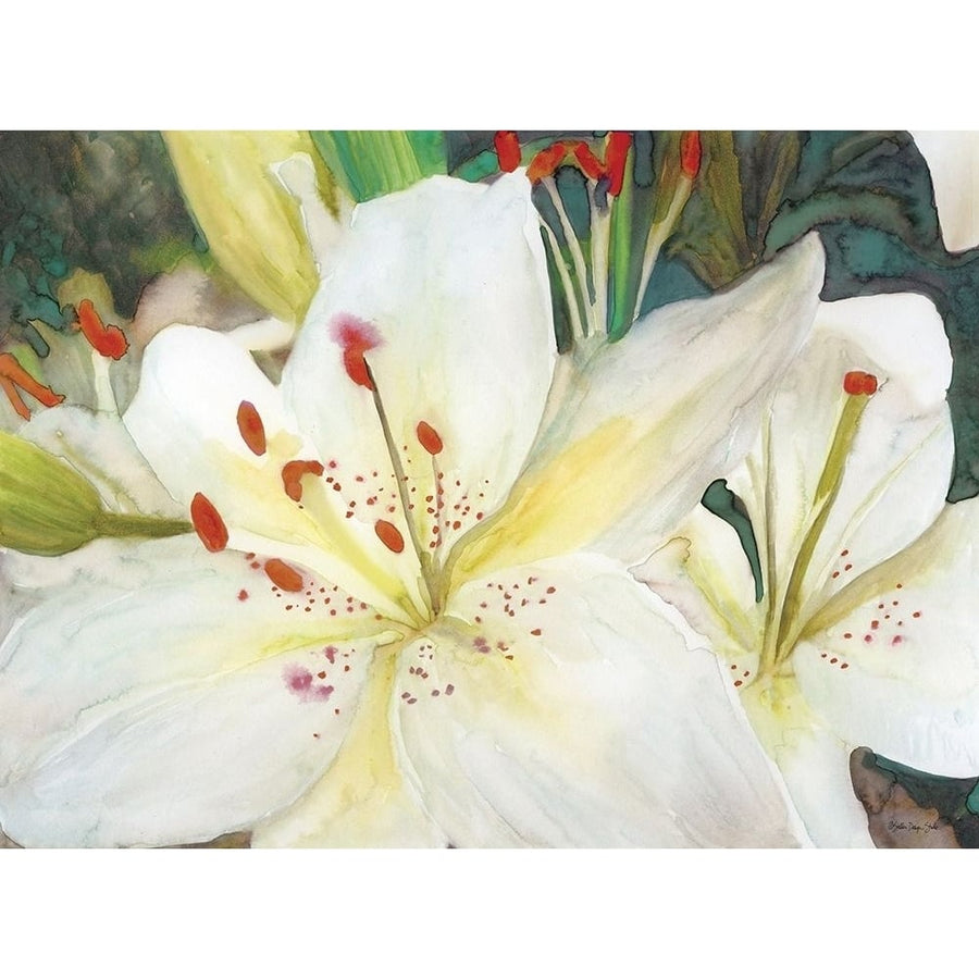 Macro Lilies Poster Print by Stellar Designs Studio Stellar Designs Studio-VARPDXSDS567 Image 1